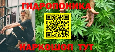 винт Будённовск
