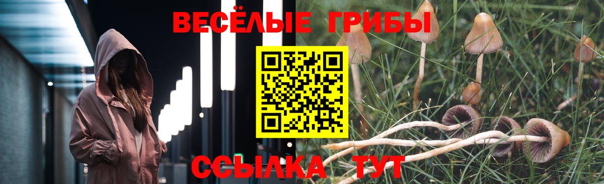 Галлюциногенные грибы Magic Shrooms  Вход с VPN  Тавда 