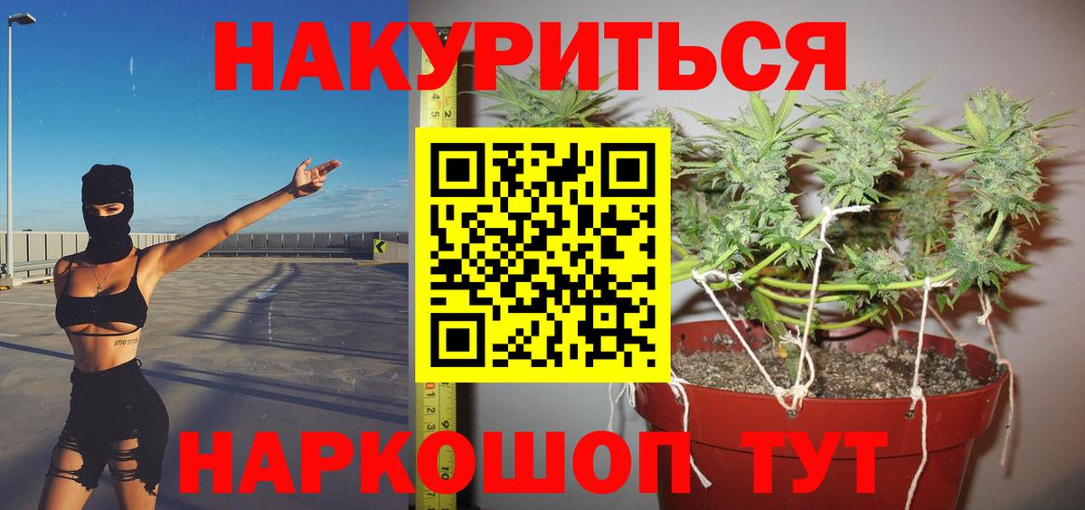 Бошки марихуана Amnesia Тавда